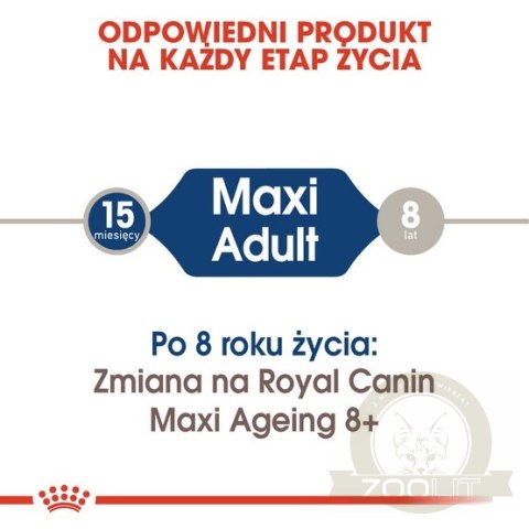 Royal Canin Maxi Adult karma mokra w sosie dla psów dorosłych, do 5 roku życia, ras dużych saszetka 140g