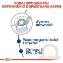 Royal Canin Maxi Adult karma mokra w sosie dla psów dorosłych, do 5 roku życia, ras dużych saszetka 140g