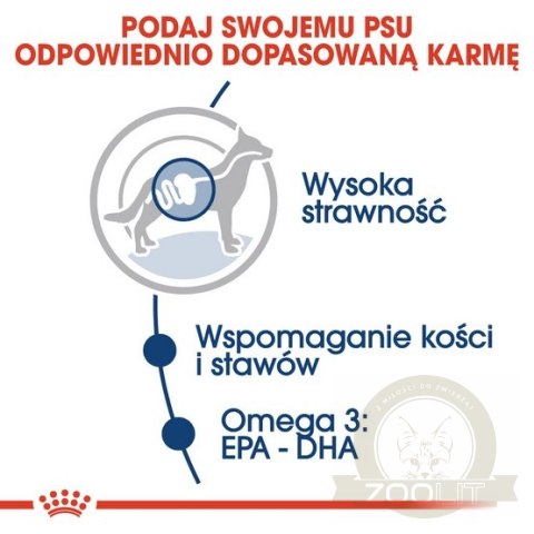Royal Canin Maxi Adult karma mokra w sosie dla psów dorosłych, do 5 roku życia, ras dużych saszetka 140g