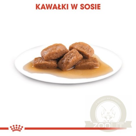 Royal Canin Maxi Adult karma mokra w sosie dla psów dorosłych, do 5 roku życia, ras dużych saszetka 140g
