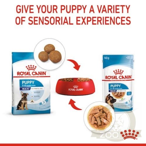 Royal Canin Maxi Puppy karma mokra w sosie dla szczeniąt, od 2 do 15 miesiąca życia, ras dużych saszetka 140g
