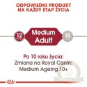 Royal Canin Medium Adult karma mokra w sosie dla psów dorosłych, ras średnich saszetika 140g