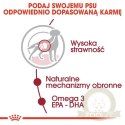 Royal Canin Medium Adult karma mokra w sosie dla psów dorosłych, ras średnich saszetika 140g