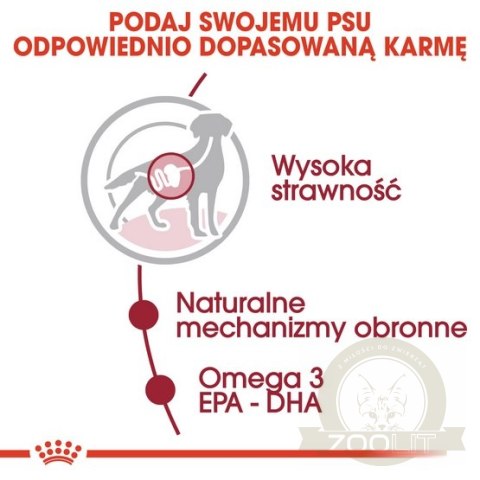 Royal Canin Medium Adult karma mokra w sosie dla psów dorosłych, ras średnich saszetika 140g
