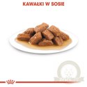 Royal Canin Medium Adult karma mokra w sosie dla psów dorosłych, ras średnich saszetika 140g