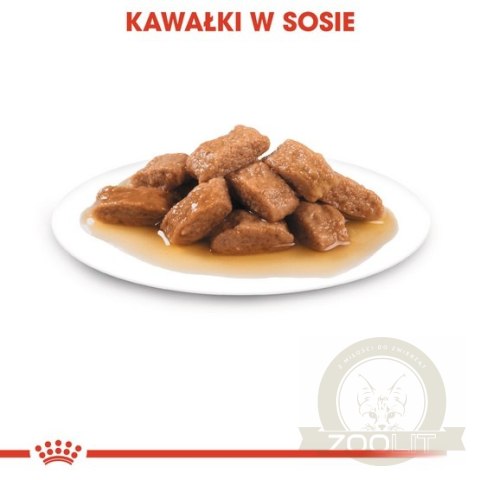 Royal Canin Medium Adult karma mokra w sosie dla psów dorosłych, ras średnich saszetika 140g