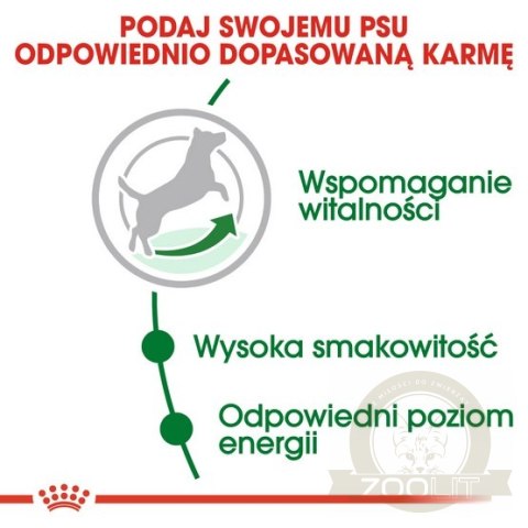Royal Canin Mini Adult karma mokra w sosie dla psów dorosłych, ras małych saszetka 85g Royal Canin Mini Adult karma mokra w sosie dla psów dorosłych, ras małych saszetka 85g