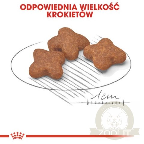 Royal Canin Mini Adult karma mokra w sosie dla psów dorosłych, ras małych saszetka 85g Royal Canin Mini Adult karma mokra w sosie dla psów dorosłych, ras małych saszetka 85g