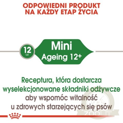 Royal Canin Mini Ageing karma mokra w sosie dla psów dojrzałych po 8 roku życia, ras małych saszetka 85g Royal Canin Mini Ageing karma mokra w sosie dla psów dojrzałych po 8 roku życia, ras małych saszetka 85g