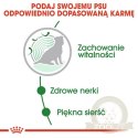 Royal Canin Mini Ageing karma mokra w sosie dla psów dojrzałych po 8 roku życia, ras małych saszetka 85g