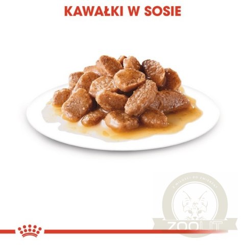 Royal Canin Mini Ageing karma mokra w sosie dla psów dojrzałych po 8 roku życia, ras małych saszetka 85g Royal Canin Mini Ageing karma mokra w sosie dla psów dojrzałych po 8 roku życia, ras małych saszetka 85g