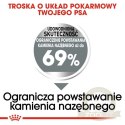 Royal Canin Mini Dental Care karma sucha dla psów dorosłych, ras małych, redukująca powstawanie kamienia nazębnego 1kg