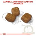 Royal Canin Mini Dental Care karma sucha dla psów dorosłych, ras małych, redukująca powstawanie kamienia nazębnego 1kg