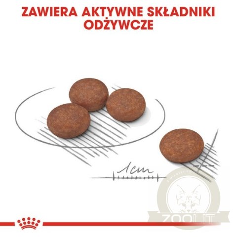 Royal Canin Mini Digestive Care karma sucha dla psów dorosłych, ras małych o wrażliwym przewodzie pokarmowym 1kg Royal Canin Mini Digestive Care karma sucha dla psów dorosłych, ras małych o wrażliwym przewodzie pokarmowym 1kg