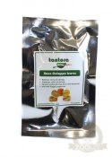 Tantora Cattapa Leaves Liście Ketapangu Nano 15Szt.