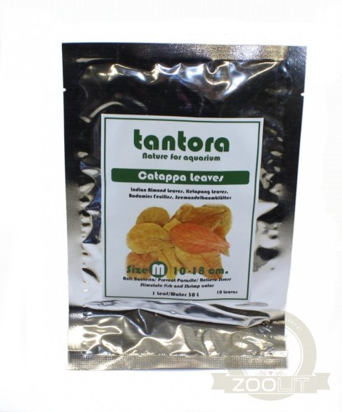 Tantora Cattapa Leaves Liście Ketapang M 10Szt. Tantora Cattapa Leaves Liście Ketapang M 10Szt.