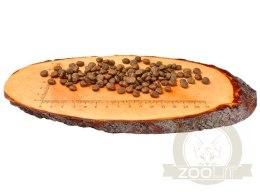 Carnilove Dog Fresh Ostrich & Lamb Adult Small - struś i jagnięcina 1,5kg