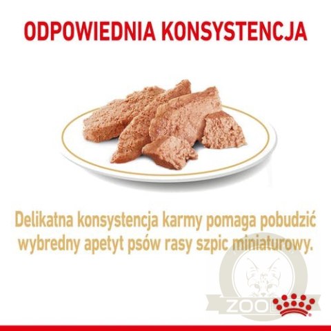 Royal Canin Pomeranian Adult karma mokra dla psów dorosłych rasy szpic miniaturowy, pasztet saszetka 85g Royal Canin Pomeranian Adult karma mokra dla psów dorosłych rasy szpic miniaturowy, pasztet saszetka 85g