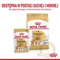 Royal Canin Pomeranian Adult karma mokra dla psów dorosłych rasy szpic miniaturowy, pasztet saszetka 85g