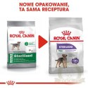 Royal Canin Mini Sterilised karma sucha dla psów dorosłych, ras małych, sterylizowanych 3kg