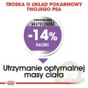 Royal Canin Mini Sterilised karma sucha dla psów dorosłych, ras małych, sterylizowanych 3kg