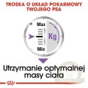 Royal Canin Sterilised karma mokra dla psów dorosłych, wszystkich ras po sterylizacji, pasztet saszetka 85g