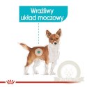 Royal Canin Urinary Care karma mokra dla psów dorosłych, wszystkich ras, wspierająca układ moczowy, pasztet saszetka 85g