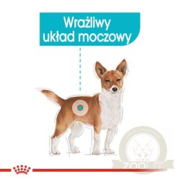 Royal Canin Urinary Care karma mokra dla psów dorosłych, wszystkich ras, wspierająca układ moczowy, pasztet saszetka 85g