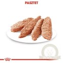 Royal Canin Urinary Care karma mokra dla psów dorosłych, wszystkich ras, wspierająca układ moczowy, pasztet saszetka 85g