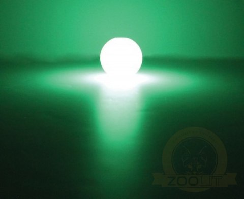 Chuckit! Max Glow Ball Medium 2pak [33067]