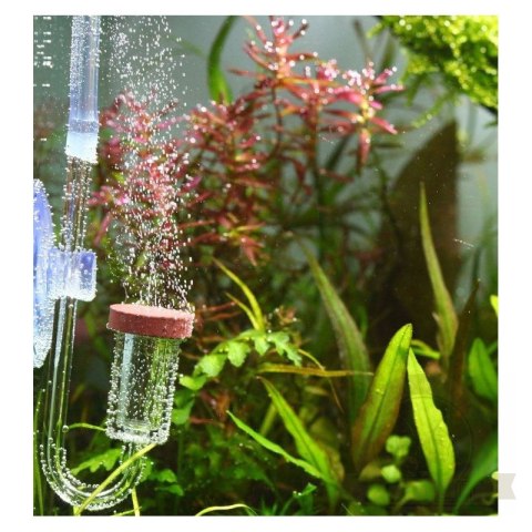 Chihiros Nano CO2 Diffuser M - dyfuzor CO2 akrylowy Chihiros Nano CO2 Diffuser M - dyfuzor CO2 akrylowy