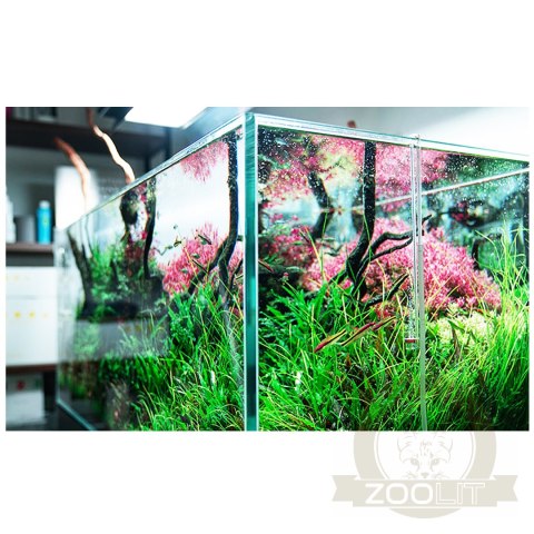 Neo Diffuser Clip Medium - dyfuzor CO2 z kolankiem