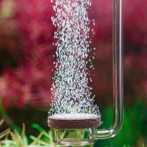 Neo Diffuser Clip Medium - dyfuzor CO2 z kolankiem