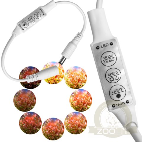 ITouch Led Dimmer - kontroler i ściemniacz LED biały ITouch Led Dimmer - kontroler i ściemniacz LED biały