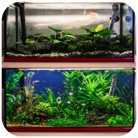 Evolution Aqua Waste Remover - usuwa szlam i zanieczyszczenia Evolution Aqua Waste Remover - usuwa szlam i zanieczyszczenia