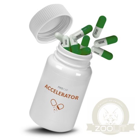 Neo Cap Accelerator - 20 kapsułek na tarło, apetyt ryb i wzrost roślin Neo Cap Accelerator - 20 kapsułek na tarło, apetyt ryb i wzrost roślin