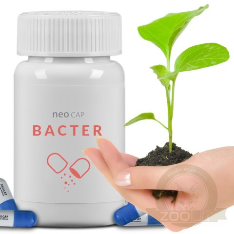 Neo Cap Bacter - 20 kapsułek bakterie i czyszczenie wody Neo Cap Bacter - 20 kapsułek bakterie i czyszczenie wody