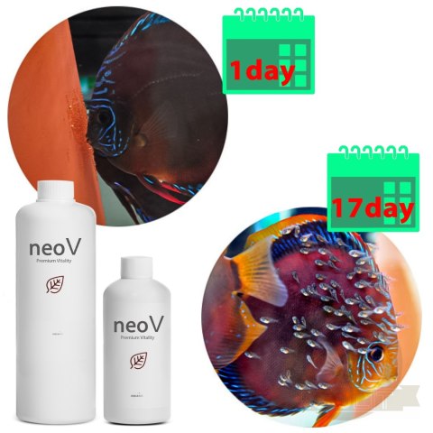 Neo V 1000ml - bakterie + stabilizacja pH + witaminy dla ryb Neo V 1000ml - bakterie + stabilizacja pH + witaminy dla ryb