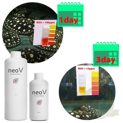 Neo V 1000ml - bakterie + stabilizacja pH + witaminy dla ryb Neo V 1000ml - bakterie + stabilizacja pH + witaminy dla ryb