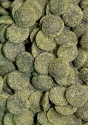 Ocean Nutrition Shrimp Wafers 15g (pokarm dla krewetek) Ocean Nutrition Shrimp Wafers 15g (pokarm dla krewetek)