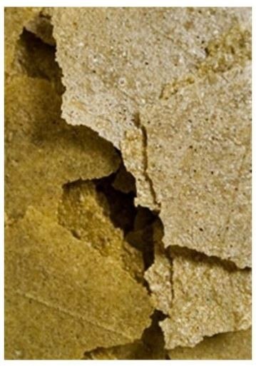 Ocean Nutrition Spirulina Flakes 34g (pokarm w płatkach) Ocean Nutrition Spirulina Flakes 34g (pokarm w płatkach)