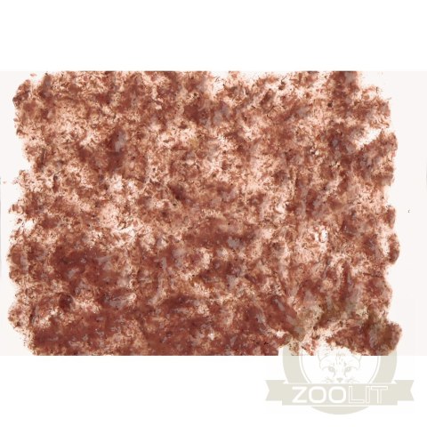 Tetra FreshDelica Brine Shrimps 48g - pokarm w żelu Tetra FreshDelica Brine Shrimps 48g - pokarm w żelu