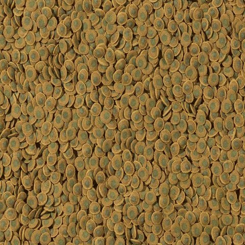 Tetra Pleco VeggieWafers 100ml - pokarm dla ryb roślinożernych dennych Tetra Pleco VeggieWafers 100ml - pokarm dla ryb roślinożernych dennych