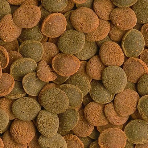 Tetra Wafer Mix 100ml - pokarm dla ryb dennych Tetra Wafer Mix 100ml - pokarm dla ryb dennych