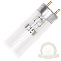 Osram Puritec HNS 75W - żarnik UV-C T8