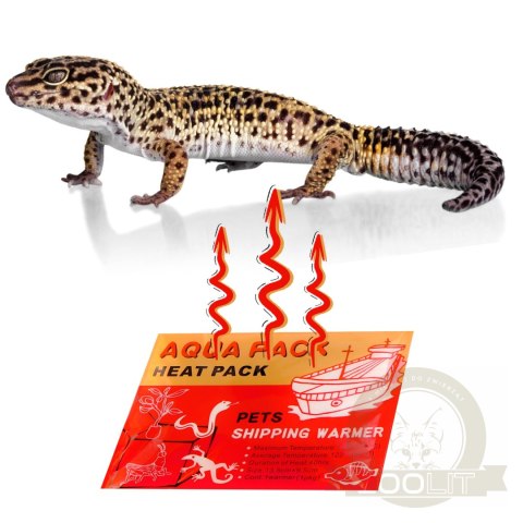 Aqua Heat Pack 40H 'Gold' - ogrzewacz do rąk i transportu zwierząt Aqua Heat Pack 40H 'Gold' - ogrzewacz do rąk i transportu zwierząt