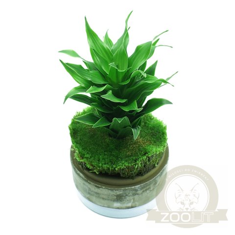 YOKUCHI HAISUI BASE 0,5L - podłoże drenażowe do terrarium YOKUCHI HAISUI BASE 0,5L - podłoże drenażowe do terrarium