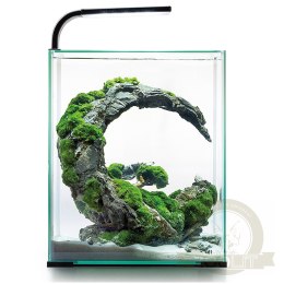 Aquael Shrimp Set Day&Night 10L Black - zestaw akwarystyczny
