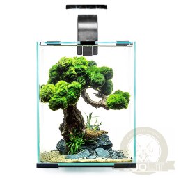 Aquael Shrimp Set Day&Night 10L White - zestaw akwarystyczny