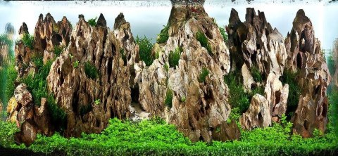 Kamienie Dragon Stone Kamienie Dragon Stone